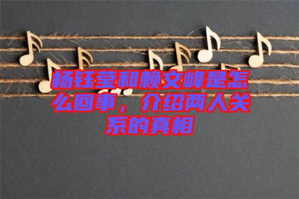 楊鈺瑩和賴文峰是怎么回事，介紹兩人關(guān)系的真相