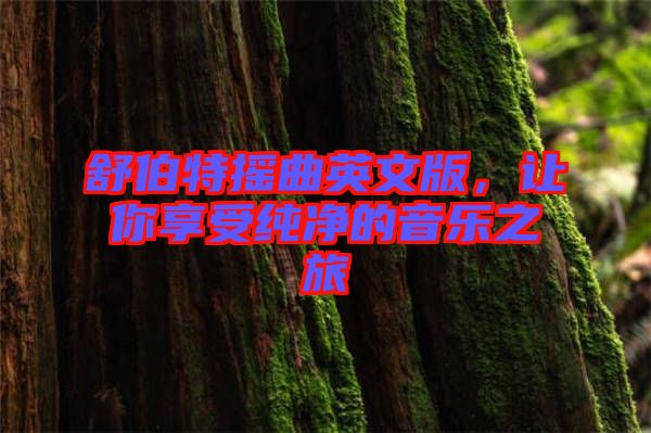 舒伯特?fù)u曲英文版，讓你享受純凈的音樂之旅