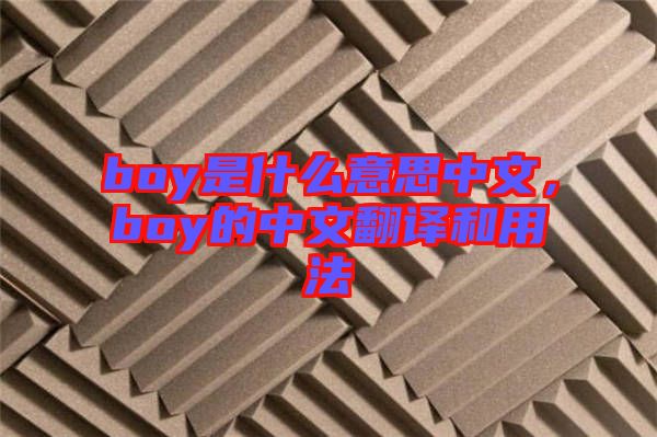 boy是什么意思中文，boy的中文翻譯和用法