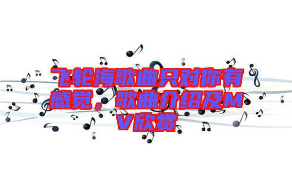 飛輪海歌曲只對你有感覺，歌曲介紹及MV欣賞