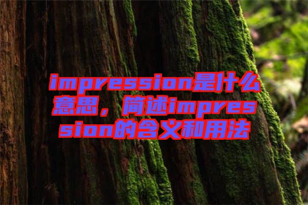 impression是什么意思，簡(jiǎn)述impression的含義和用法