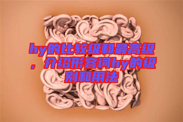 hy的比較級和最高級，介紹形容詞hy的級別和用法