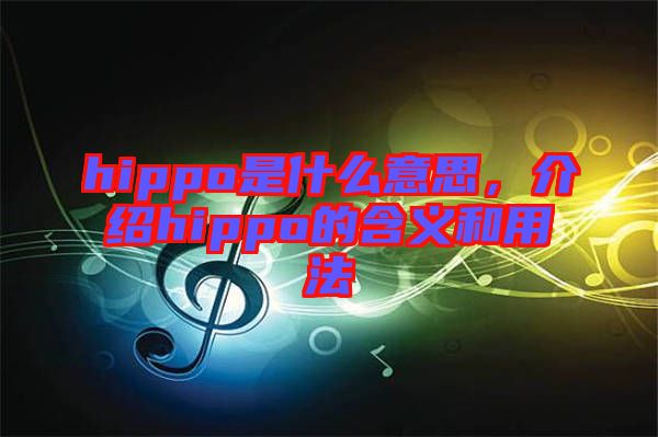 hippo是什么意思，介紹hippo的含義和用法