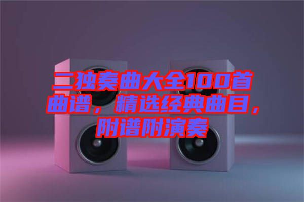 二獨奏曲大全100首曲譜，精選經(jīng)典曲目，附譜附演奏