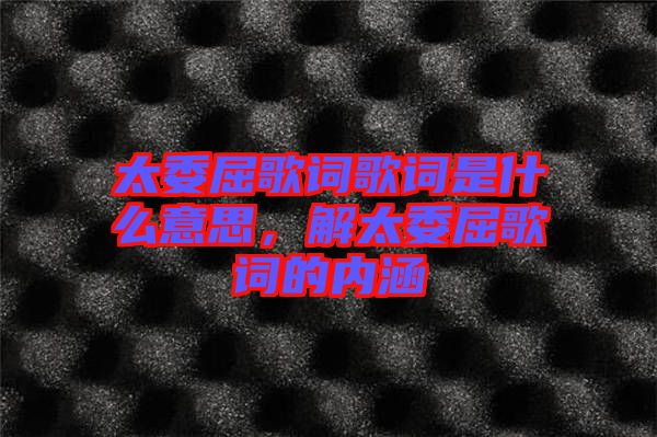 太委屈歌詞歌詞是什么意思，解太委屈歌詞的內(nèi)涵
