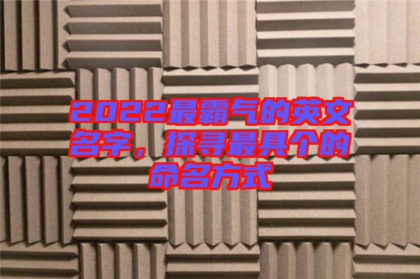 2022最霸氣的英文名字，探尋最具個(gè)的命名方式
