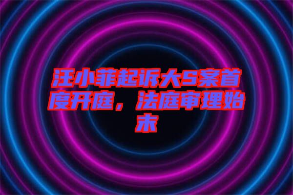 汪小菲起訴大S案首度開庭，法庭審理始末