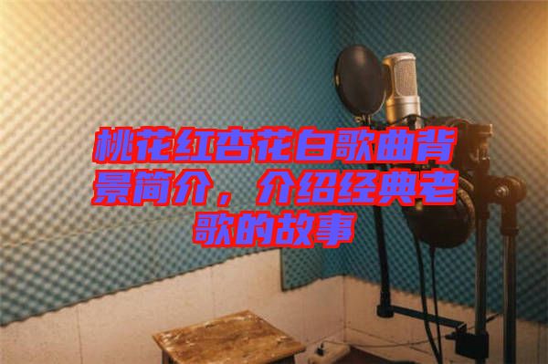桃花紅杏花白歌曲背景簡(jiǎn)介，介紹經(jīng)典老歌的故事
