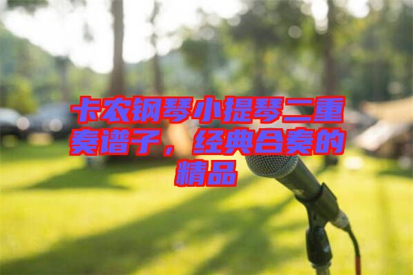 卡農(nóng)鋼琴小提琴二重奏譜子，經(jīng)典合奏的精品