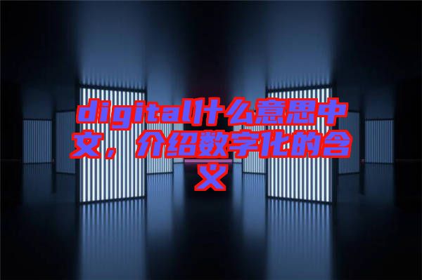 digital什么意思中文，介紹數(shù)字化的含義