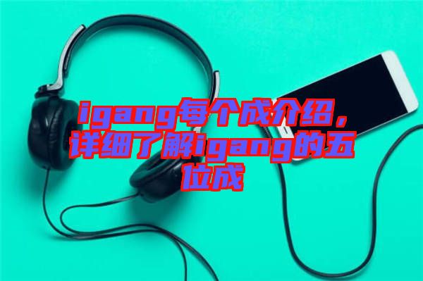 igang每個成介紹，詳細(xì)了解igang的五位成
