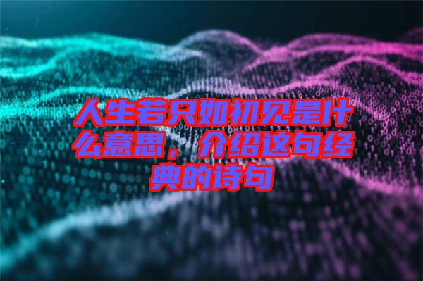 人生若只如初見是什么意思，介紹這句經(jīng)典的詩句