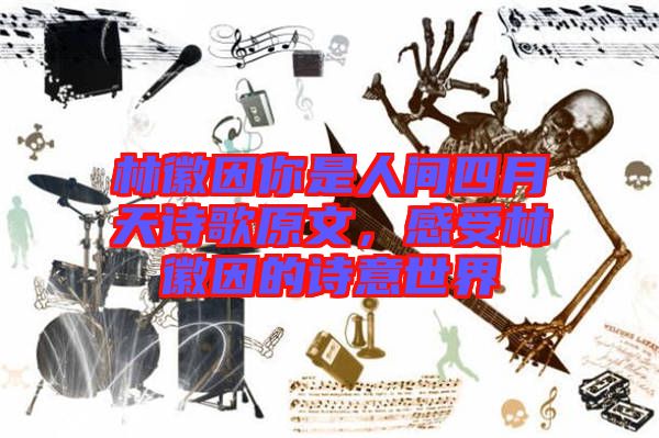 林徽因你是人間四月天詩歌原文，感受林徽因的詩意世界