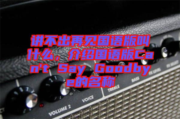 講不出再見(jiàn)國(guó)語(yǔ)版叫什么，介紹國(guó)語(yǔ)版Can't Say Goodbye的名稱