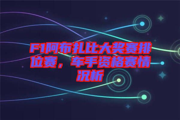 F1阿布扎比大獎賽排位賽，車手資格賽情況析