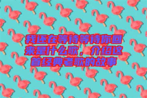 我還在等待等待你回來是什么歌，介紹這首經(jīng)典老歌的故事