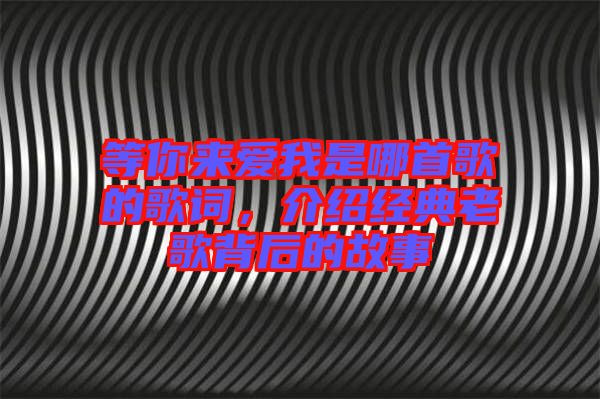 等你來(lái)愛(ài)我是哪首歌的歌詞，介紹經(jīng)典老歌背后的故事