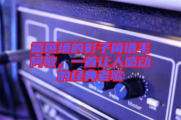 籬笆墻的影子簡譜毛阿敏，一首讓人感動的經(jīng)典老歌