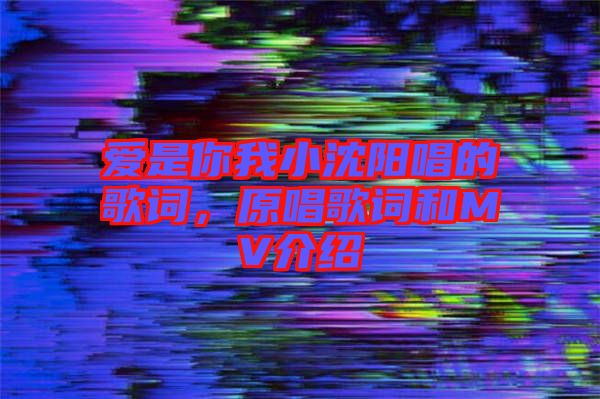 愛是你我小沈陽唱的歌詞，原唱歌詞和MV介紹