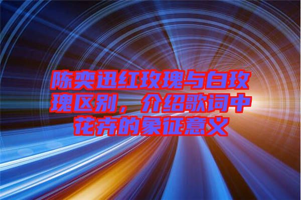 陳奕迅紅玫瑰與白玫瑰區(qū)別，介紹歌詞中花卉的象征意義