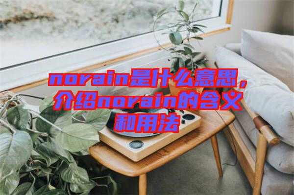 norain是什么意思，介紹norain的含義和用法