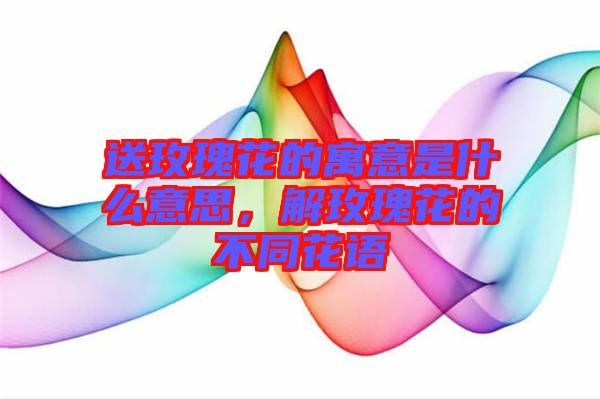 送玫瑰花的寓意是什么意思，解玫瑰花的不同花語