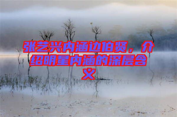 張藝興內涵邊伯賢，介紹明星內涵的深層含義
