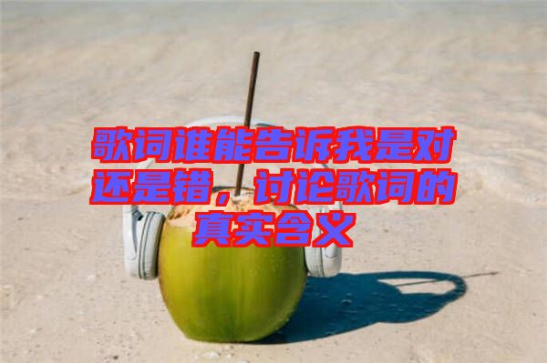 歌詞誰能告訴我是對(duì)還是錯(cuò)，討論歌詞的真實(shí)含義