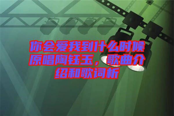 你會(huì)愛我到什么時(shí)候原唱陶鈺玉，歌曲介紹和歌詞析