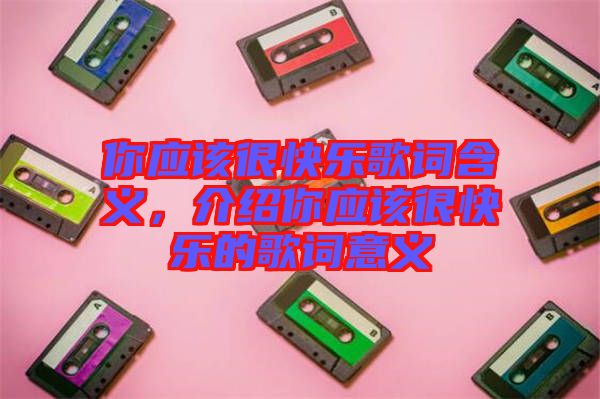 你應該很快樂歌詞含義，介紹你應該很快樂的歌詞意義