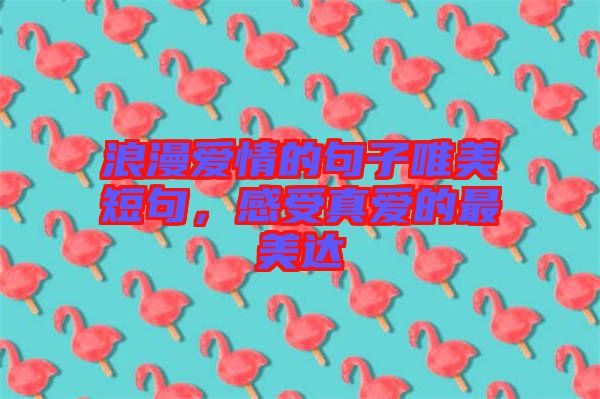 浪漫愛(ài)情的句子唯美短句，感受真愛(ài)的最美達(dá)