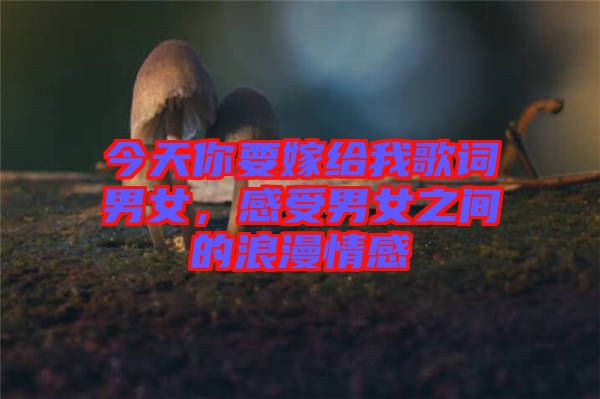 今天你要嫁給我歌詞男女，感受男女之間的浪漫情感