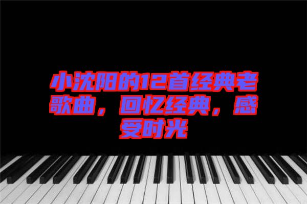 小沈陽的12首經(jīng)典老歌曲，回憶經(jīng)典，感受時光