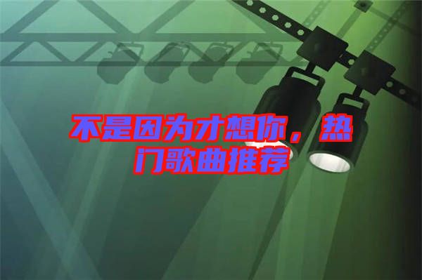 不是因為才想你，熱門歌曲推薦