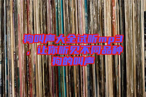 狗叫聲大全試聽mp3，讓你聽見不同品種狗的叫聲