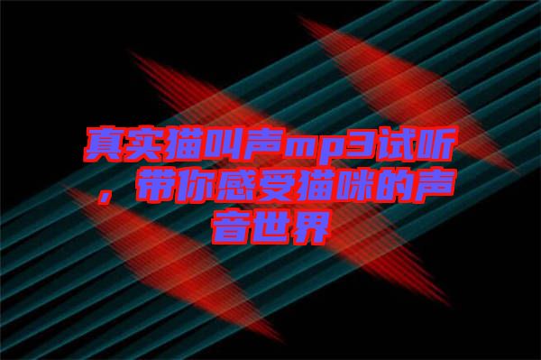 真實貓叫聲mp3試聽，帶你感受貓咪的聲音世界
