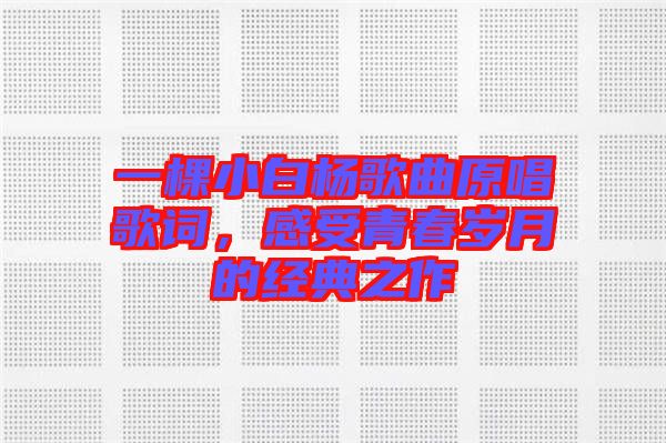 一棵小白楊歌曲原唱歌詞，感受青春歲月的經(jīng)典之作