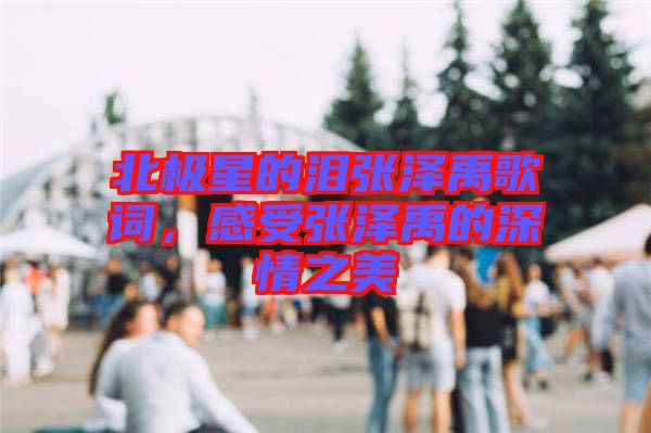 北極星的淚張澤禹歌詞，感受張澤禹的深情之美