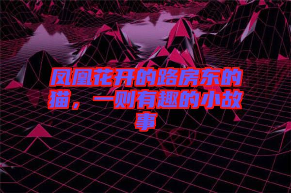 鳳凰花開的路房東的貓，一則有趣的小故事