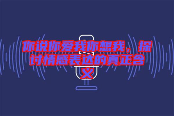 你說你愛我你想我，探討情感表達(dá)的真正含義
