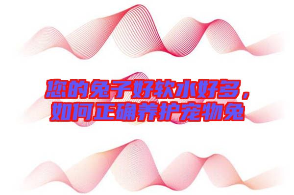 您的兔子好軟水好多，如何正確養(yǎng)護(hù)寵物兔