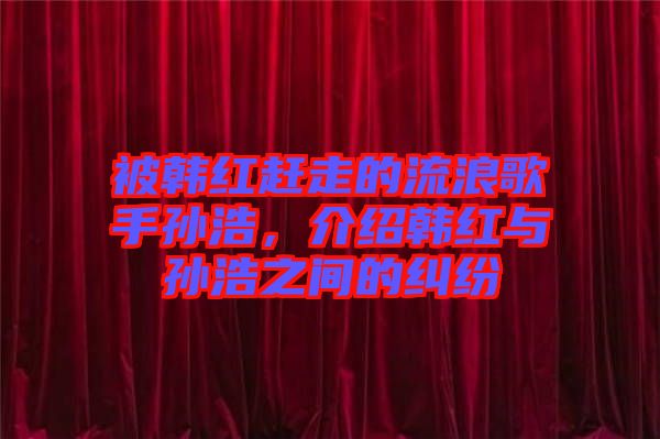 被韓紅趕走的流浪歌手孫浩，介紹韓紅與孫浩之間的糾紛