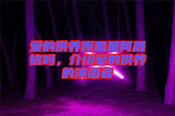 愛的供養(yǎng)原唱是何晟銘嗎，介紹愛的供養(yǎng)的演唱者