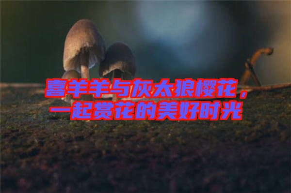 喜羊羊與灰太狼櫻花，一起賞花的美好時光