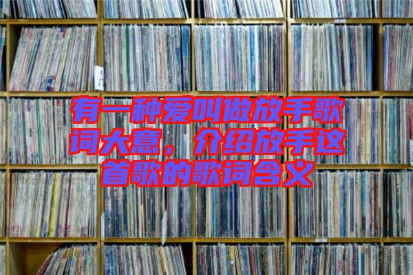 有一種愛叫做放手歌詞大意，介紹放手這首歌的歌詞含義