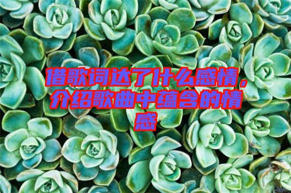借歌詞達(dá)了什么感情，介紹歌曲中蘊(yùn)含的情感