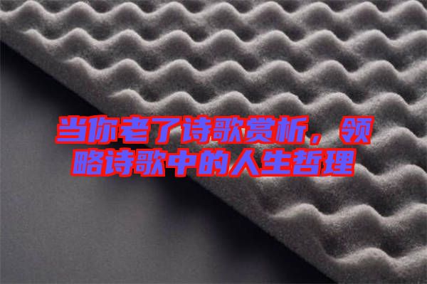 當(dāng)你老了詩歌賞析，領(lǐng)略詩歌中的人生哲理