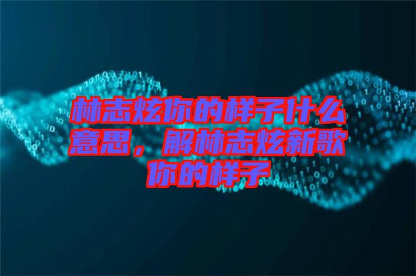林志炫你的樣子什么意思，解林志炫新歌你的樣子