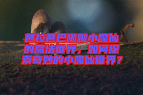 芭拉芭巴啦啦小魔仙的魔法世界，如何探索奇妙的小魔仙世界？