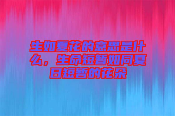 生如夏花的意思是什么，生命短暫如同夏日短暫的花朵